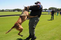 2nd Annual Youth Scholarship Program