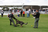 3rd Annual Youth Scholarship Program