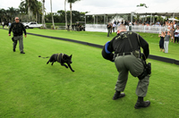 5th Annual Youth Scholarship Program