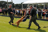 6th Annual Youth Scholarship Program